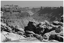 Colorado River Canyon seen from Maze District. Canyonlands National Park ( black and white)