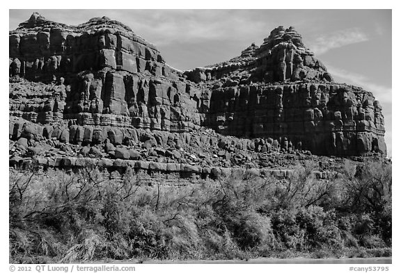 Cottonwoods and red cliffs. Canyonlands National Park (black and white)