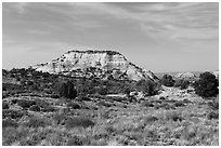 Aztec Butte. Canyonlands National Park ( black and white)