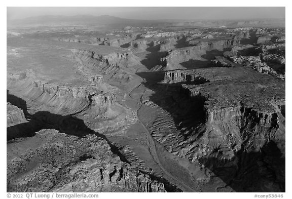 Aerial view of Taylor Canyon. Canyonlands National Park (black and white)