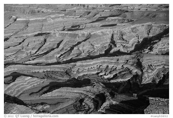 Aerial view of Maze canyons. Canyonlands National Park (black and white)