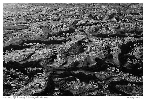 Aerial view of Needles District. Canyonlands National Park (black and white)