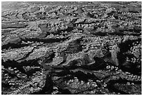 Aerial view of Needles District. Canyonlands National Park, Utah, USA. (black and white)
