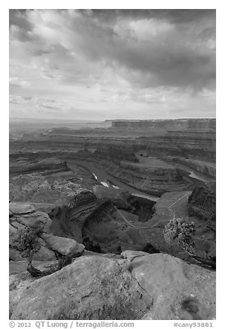 Colorado River from Dead Horse Point, morning. Canyonlands National Park (black and white)