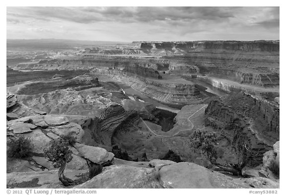 Gooseneck of the Colorado River from Dead Horse Point. Canyonlands National Park (black and white)