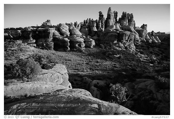 Dollhouse spires at sunrise. Canyonlands National Park (black and white)
