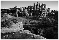 Dollhouse spires at sunrise. Canyonlands National Park ( black and white)