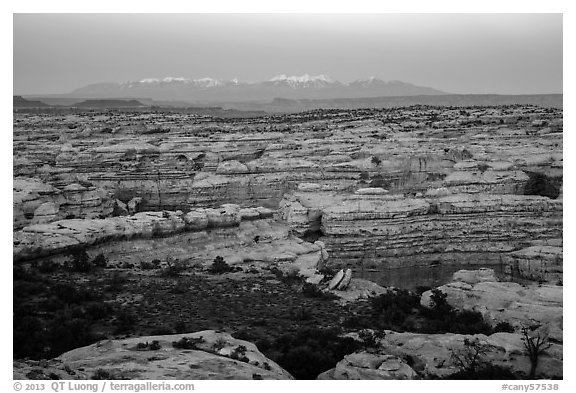 Maze canyons and snowy mountains at dusk. Canyonlands National Park (black and white)