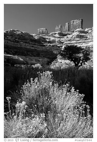 Chocolate drops seen from Maze canyons. Canyonlands National Park (black and white)
