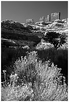 Chocolate drops seen from Maze canyons. Canyonlands National Park ( black and white)