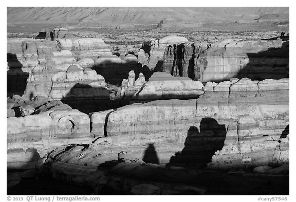 Maze canyons at sunset. Canyonlands National Park (black and white)