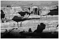 Maze canyons at sunset. Canyonlands National Park ( black and white)