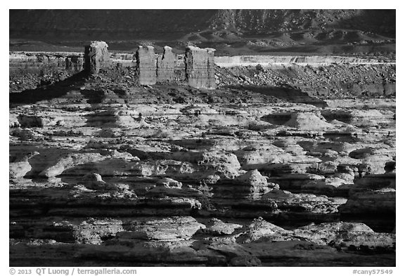 Chocolate drops and Maze canyons, early morning. Canyonlands National Park (black and white)