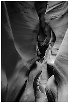Curved walls, High Spur slot canyon, Orange Cliffs Unit, Glen Canyon National Recreation Area, Utah. USA (black and white)