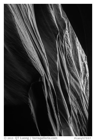 Sandstone carved by water, High Spur slot canyon, Orange Cliffs Unit, Glen Canyon National Recreation Area, Utah. USA (black and white)