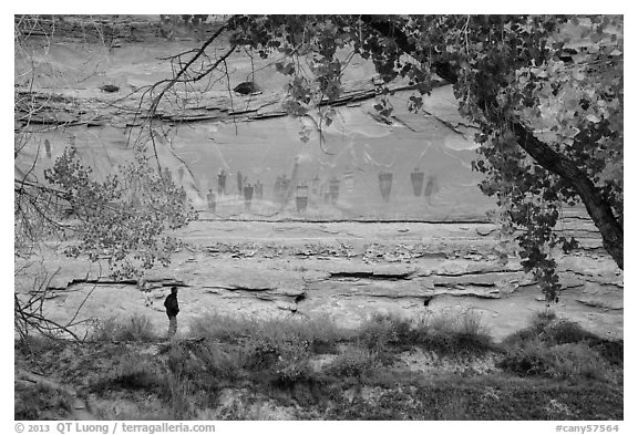 Park visitor looking, the Great Gallery,  Horseshoe Canyon. Canyonlands National Park (black and white)