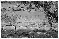 Park visitor looking, the Great Gallery,  Horseshoe Canyon. Canyonlands National Park ( black and white)