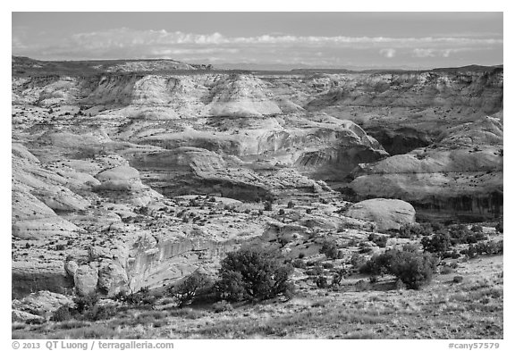 Horseshoe Canyon rim. Canyonlands National Park (black and white)