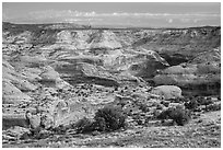 Horseshoe Canyon rim. Canyonlands National Park ( black and white)