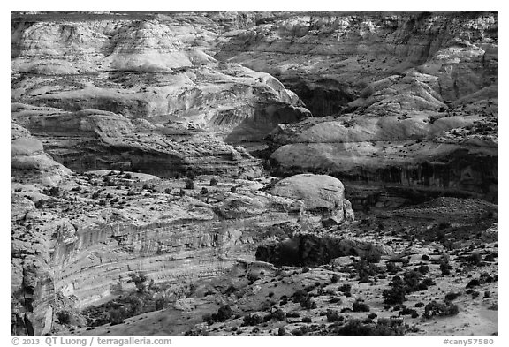 Horseshoe Canyon rims. Canyonlands National Park (black and white)