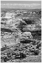 Horseshoe Canyon seen from above. Canyonlands National Park ( black and white)
