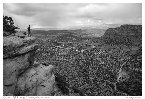 Park visitor looking, Wingate Cliffs at Flint Trail overlook. Canyonlands National Park (black and white)