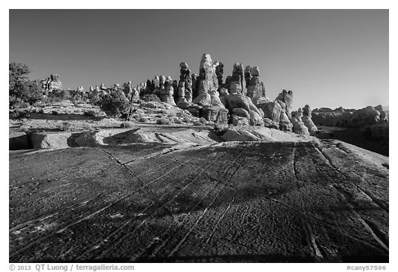 Rock slab and Dollhouse spires. Canyonlands National Park (black and white)