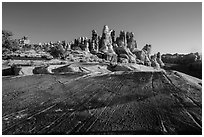 Rock slab and Dollhouse spires. Canyonlands National Park ( black and white)