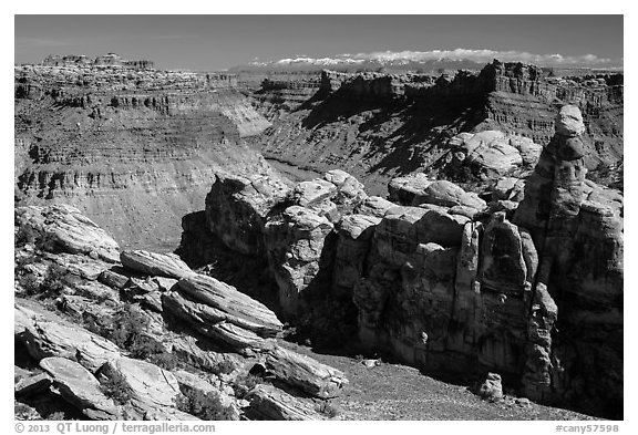 Surprise Valley, Colorado River, and snowy mountains. Canyonlands National Park (black and white)