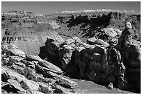 Surprise Valley, Colorado River, and snowy mountains. Canyonlands National Park ( black and white)