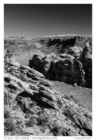 Surprise Valley, Colorado River seen from Dollhouse. Canyonlands National Park (black and white)