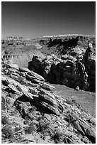 Surprise Valley, Colorado River seen from Dollhouse. Canyonlands National Park ( black and white)