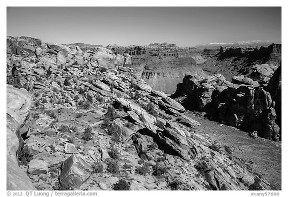 Park visitor looking, Surprise Valley overlook. Canyonlands National Park (black and white)