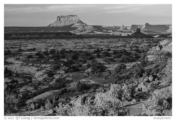 Maze and Elaterite Butte at sunset. Canyonlands National Park (black and white)