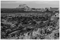 Maze and Elaterite Butte at sunset. Canyonlands National Park, Utah, USA. (black and white)