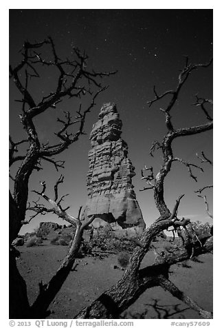 Standing Rock at night seen through branches. Canyonlands National Park (black and white)