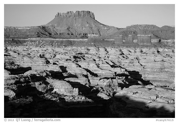 Chocolate drops, Maze canyons, and Elaterite Butte, early morning. Canyonlands National Park (black and white)