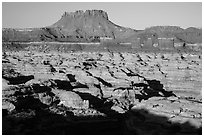 Chocolate drops, Maze canyons, and Elaterite Butte, early morning. Canyonlands National Park ( black and white)