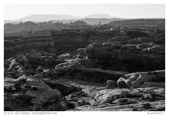 Jasper Cayon, early morning, Maze District. Canyonlands National Park (black and white)