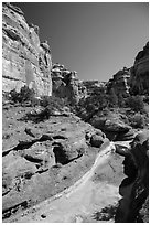 Canyon bottom, the Maze. Canyonlands National Park ( black and white)