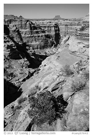 Maze canyons and Eckert Butte. Canyonlands National Park (black and white)