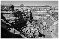 Curved Cedar Mesa sandstone canyons from the rim, Maze District. Canyonlands National Park ( black and white)