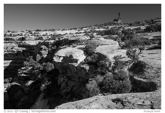Chimney rock above Maze canyons. Canyonlands National Park (black and white)