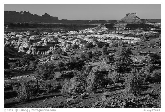 Maze seen from Chimney Rock, late afternoon. Canyonlands National Park (black and white)
