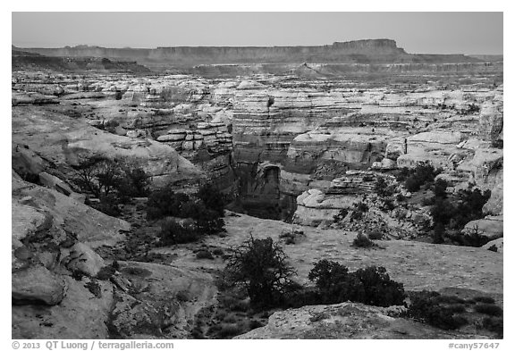 Shot Canyon at dusk, Maze District. Canyonlands National Park (black and white)