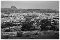 Maze and  Elaterite Butte seen at dawn from Standing Rock. Canyonlands National Park ( black and white)