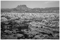 Maze and Chocolate Drops from Petes Mesa at dawn. Canyonlands National Park ( black and white)