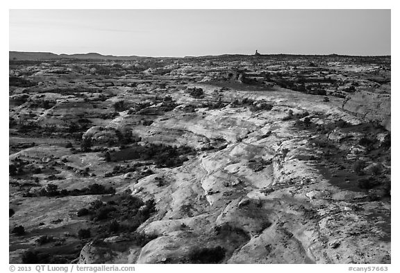 Jasper Canyon from Petes Mesa at dawn, Maze District. Canyonlands National Park (black and white)