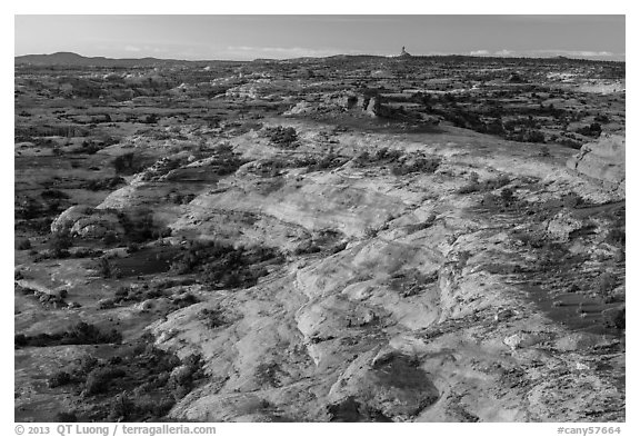 Jasper Canyon from Petes Mesa at sunrise, Maze District. Canyonlands National Park (black and white)