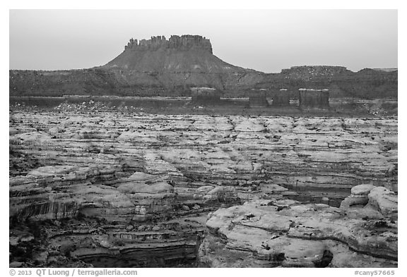 Chocolate drops, Maze canyons, and Elaterite Butte at dawn. Canyonlands National Park (black and white)